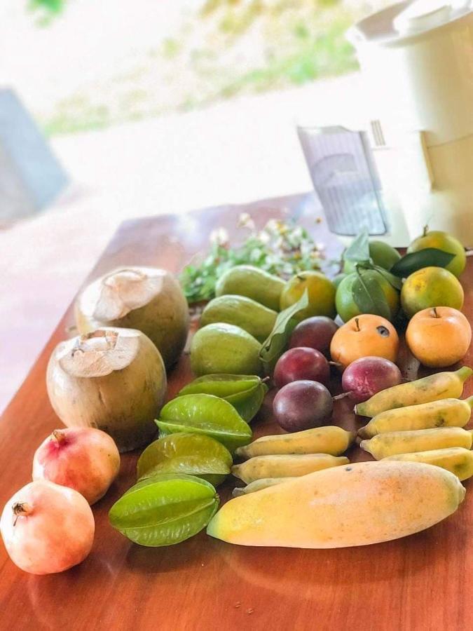 Pai Bjooc Homestay Tuyen Quang Екстериор снимка