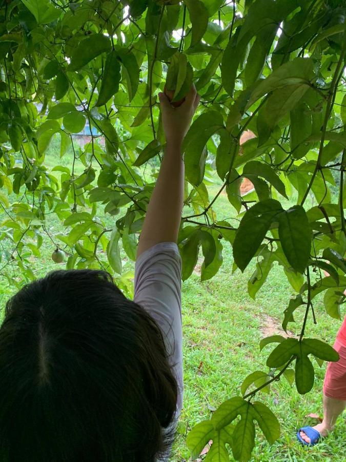 Pai Bjooc Homestay Tuyen Quang Екстериор снимка