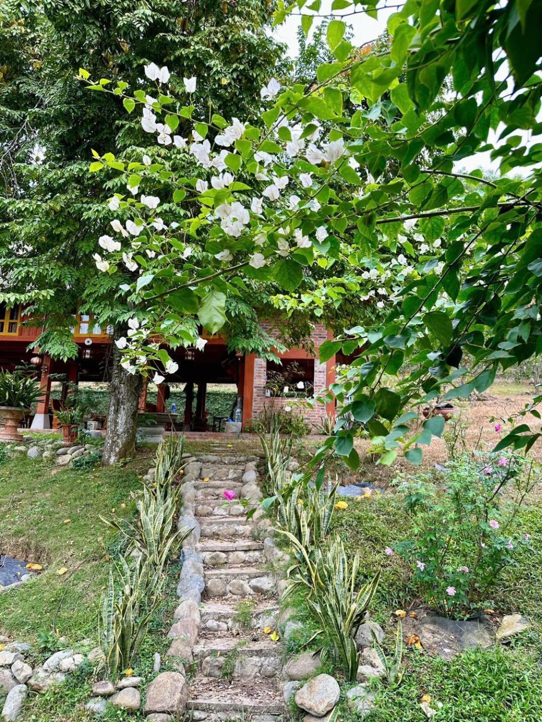 Pai Bjooc Homestay Tuyen Quang Екстериор снимка