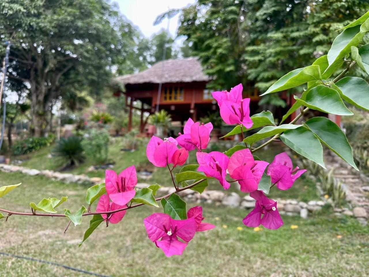 Pai Bjooc Homestay Tuyen Quang Екстериор снимка